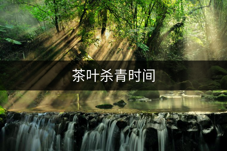 茶葉殺青時間 茶葉殺青時間