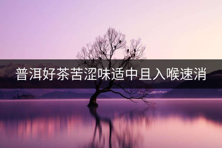 普洱好茶苦澀味適中且入喉速消 普洱好茶苦澀味適中且入喉速消