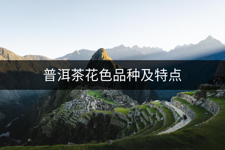 普洱茶花色品種及特點