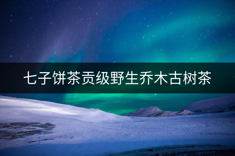 七子餅茶貢級野生喬木古樹茶 七子餅茶貢級野生喬木古樹茶