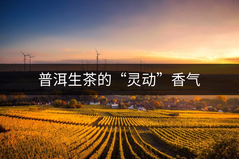 普洱生茶的“靈動(dòng)”香氣 普洱生茶的“靈動(dòng)”香氣
