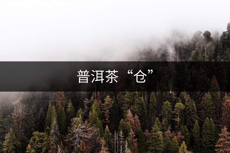 普洱茶“倉(cāng)”