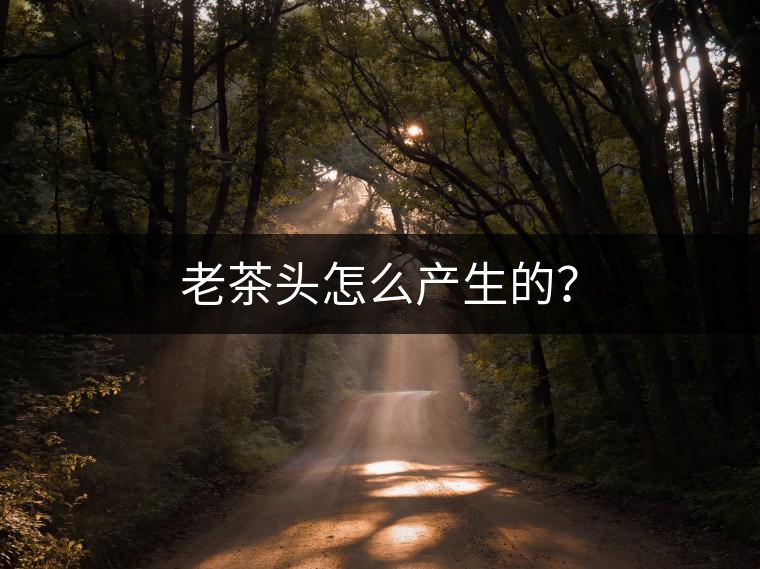老茶頭怎么產(chǎn)生的？