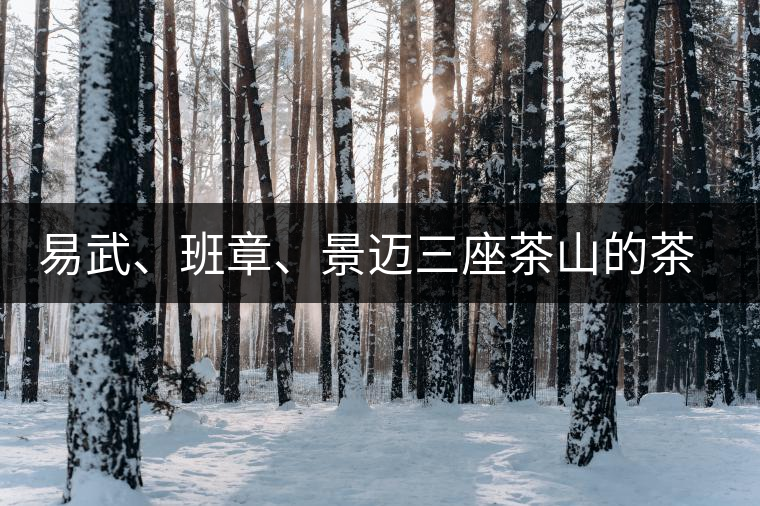 易武、班章、景邁三座茶山的茶比較