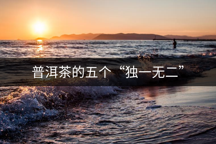 普洱茶的五個“獨(dú)一無二”
