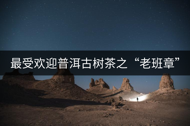 最受歡迎普洱古樹茶之“老班章” 最受歡迎普洱古樹茶之“老班章”