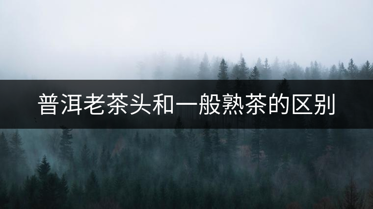 普洱老茶頭和一般熟茶的區(qū)別