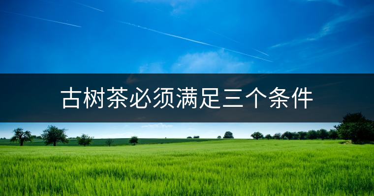 古樹茶必須滿足三個條件 古樹茶必須滿足三個條件