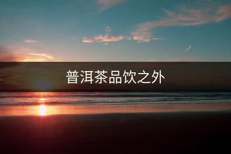 普洱茶品飲之外 普洱茶品飲之外