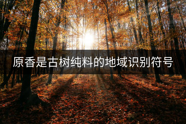 原香是古樹(shù)純料的地域識(shí)別符號(hào) 原香是古樹(shù)純料的地域識(shí)別符號(hào)