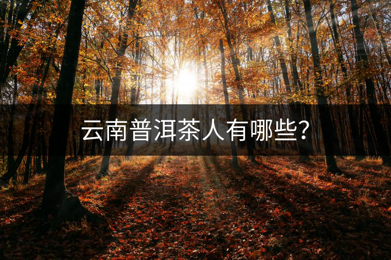 云南普洱茶人有哪些？