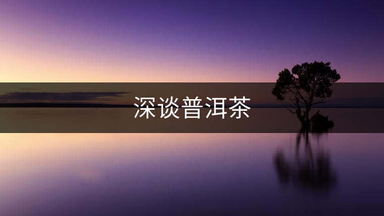 深談普洱茶