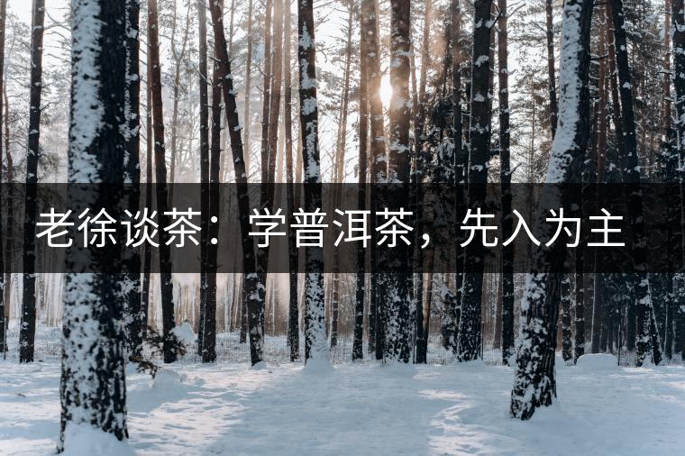 老徐談茶：學(xué)普洱茶，先入為主易被打臉，還得實(shí)踐出真知！