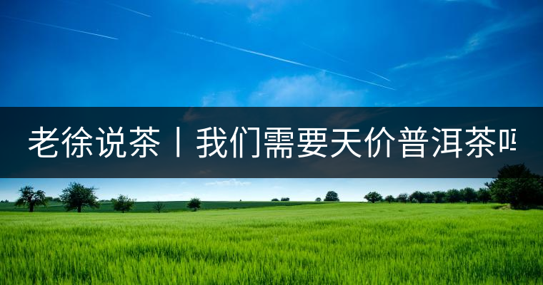 老徐說茶丨我們需要天價普洱茶嗎？