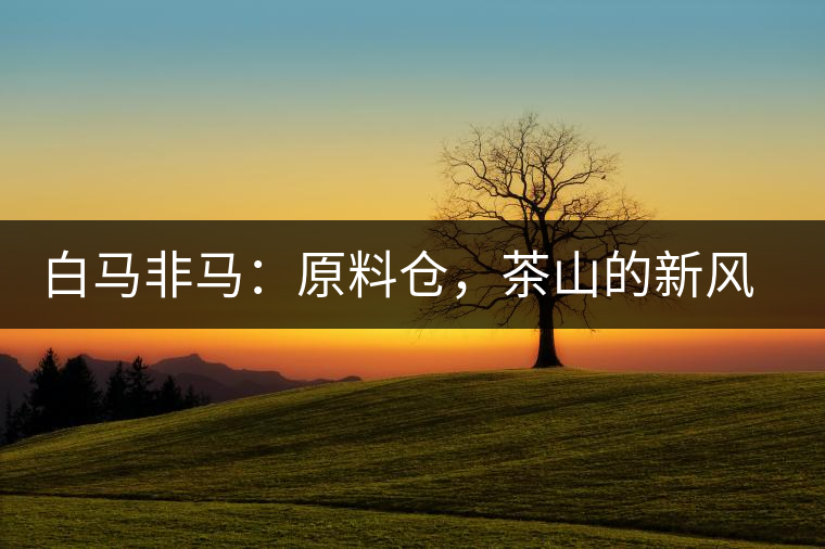 白馬非馬：原料倉，茶山的新風(fēng)景