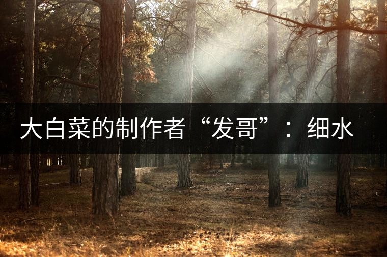 大白菜的制作者“發(fā)哥”：細水長流，做茶“急不得”