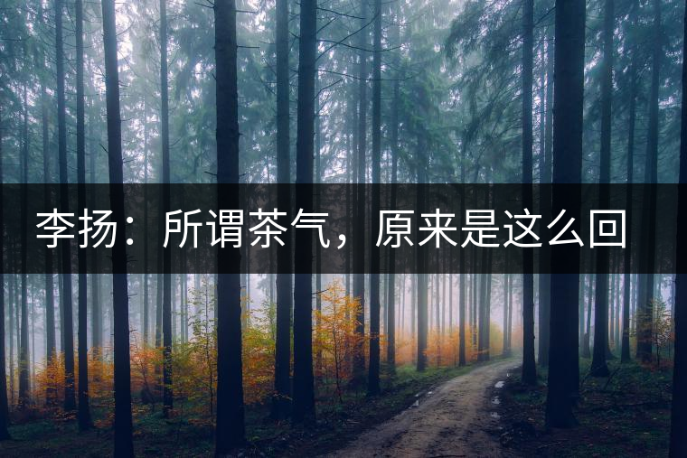 李揚：所謂茶氣，原來是這么回事