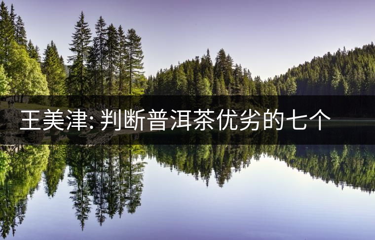 王美津: 判斷普洱茶優(yōu)劣的七個(gè)指標(biāo) 王美津: 判斷普洱茶優(yōu)劣的七個(gè)指標(biāo)