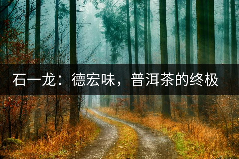 石一龍：德宏味，普洱茶的終極意境
