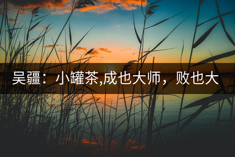 吳疆：小罐茶,成也大師，敗也大師