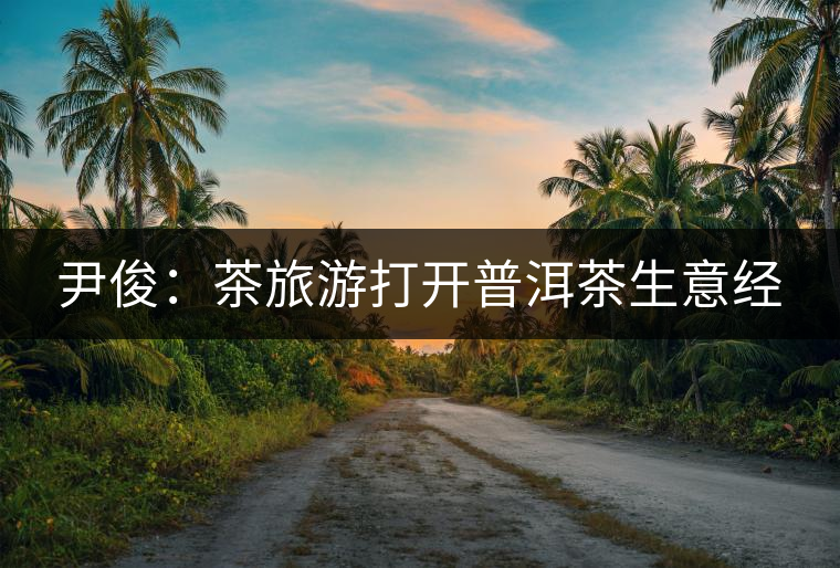 尹俊:茶旅游打開普洱茶生意經(jīng) 尹?。翰杪糜未蜷_普洱茶生意經(jīng)