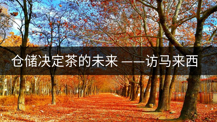 倉儲(chǔ)決定茶的未來 ——訪馬來西亞資深茶人 郭俊邦 倉儲(chǔ)決定茶的未來 ——訪馬來西亞資深茶人 郭俊邦