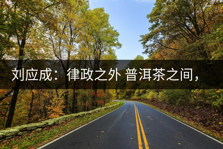 劉應(yīng)成：律政之外 普洱茶之間，在峨毛茶上的三個(gè)首創(chuàng)