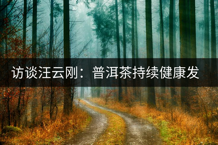 訪談汪云剛:普洱茶持續(xù)健康發(fā)展之路 訪談汪云剛:普洱茶持續(xù)健康發(fā)展之路