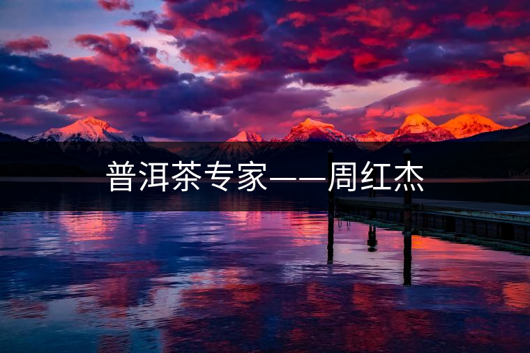 普洱茶專(zhuān)家——周紅杰