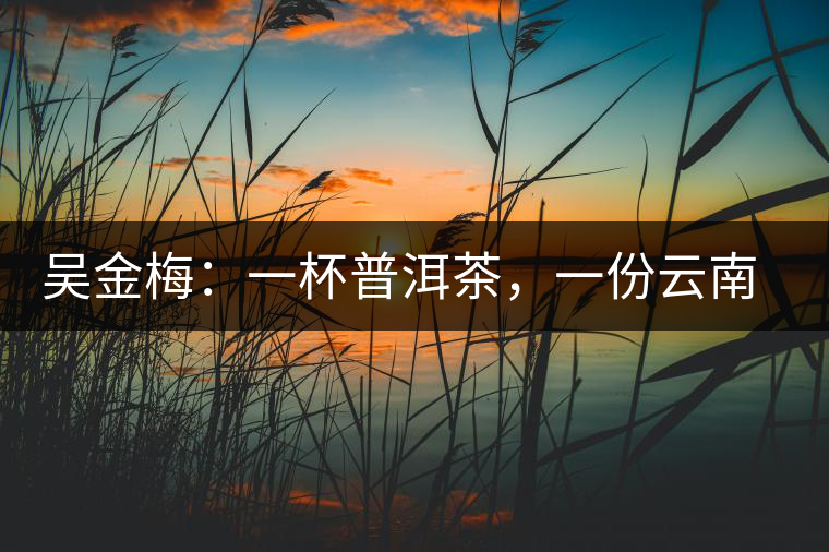 吳金梅：一杯普洱茶，一份云南情