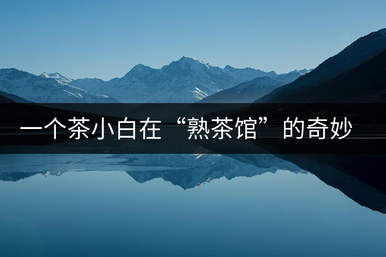 一個(gè)茶小白在“熟茶館”的奇妙體驗(yàn)之旅
