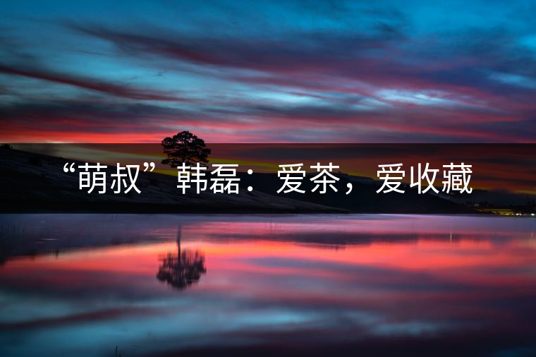 “萌叔”韓磊：愛(ài)茶，愛(ài)收藏