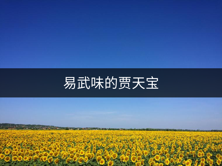 易武味的賈天寶 易武味的賈天寶