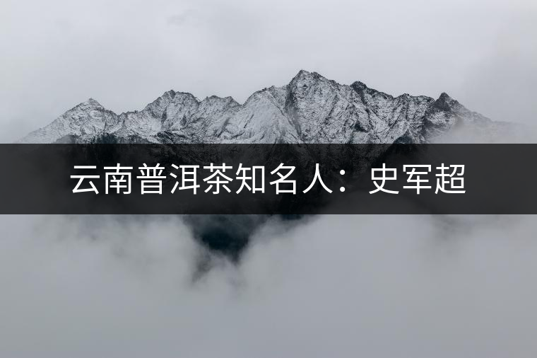 云南普洱茶知名人：史軍超