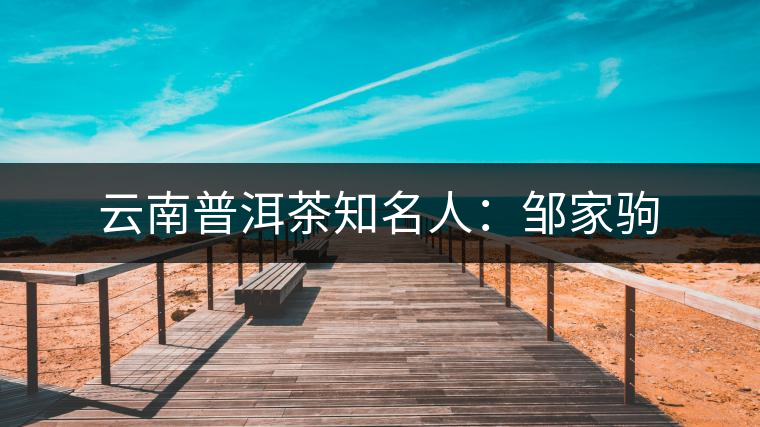 云南普洱茶知名人:鄒家駒 云南普洱茶知名人:鄒家駒