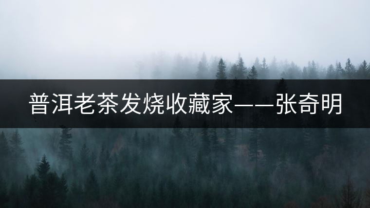 普洱老茶發(fā)燒收藏家——張奇明 普洱老茶發(fā)燒收藏家——張奇明