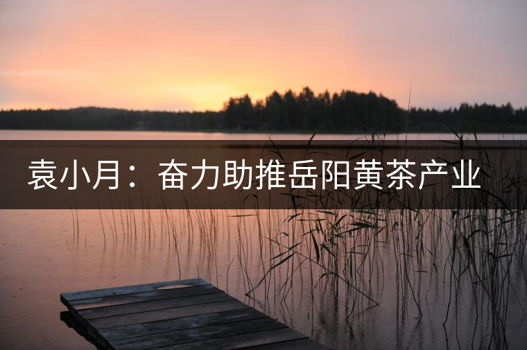 袁小月:奮力助推岳陽(yáng)黃茶產(chǎn)業(yè)發(fā)展 袁小月:奮力助推岳陽(yáng)黃茶產(chǎn)業(yè)發(fā)展