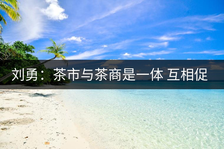 劉勇:茶市與茶商是一體 互相促進才能更好發(fā)展 劉勇:茶市與茶商是一體 互相促進才能更好發(fā)展