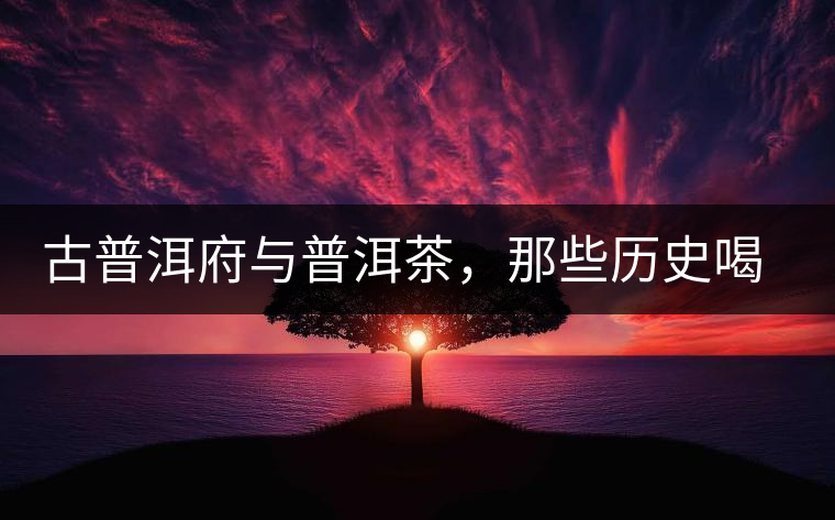 古普洱府與普洱茶，那些歷史喝茶的你應(yīng)該知道