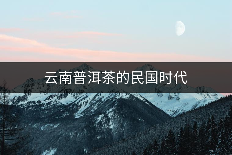 云南普洱茶的民國時代 云南普洱茶的民國時代