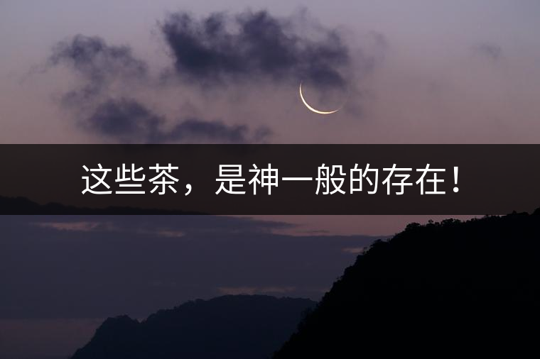 這些茶，是神一般的存在！