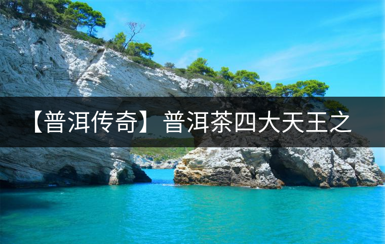 【普洱傳奇】普洱茶四大天王之宋聘號(hào)