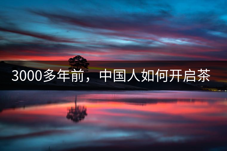 3000多年前，中國人如何開啟茶生活？