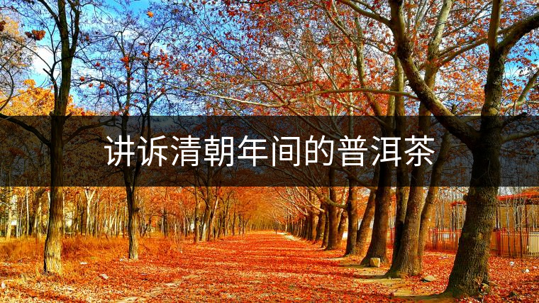 講訴清朝年間的普洱茶 講訴清朝年間的普洱茶
