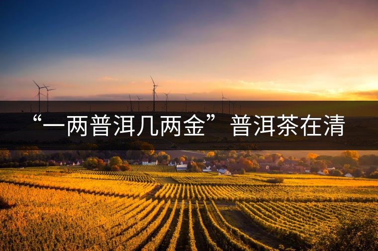 “一兩普洱幾兩金”普洱茶在清代為啥這么火？！