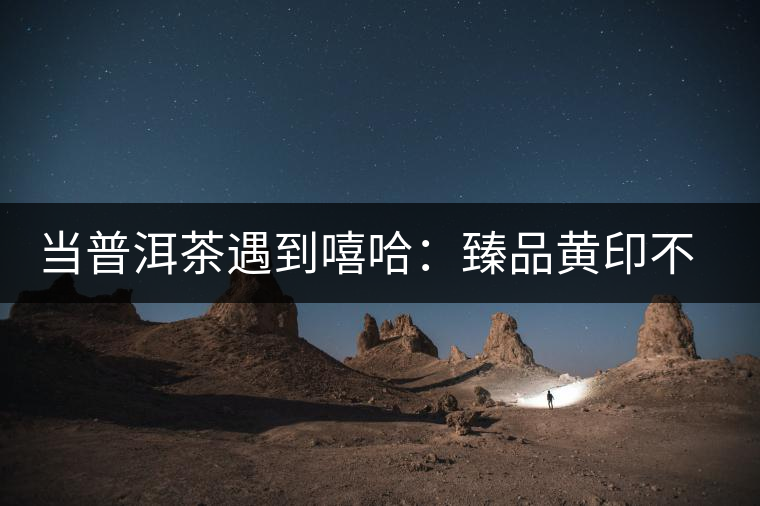 當(dāng)普洱茶遇到嘻哈:臻品黃印不同年代變著秀 當(dāng)普洱茶遇到嘻哈:臻品黃印不同年代變著秀