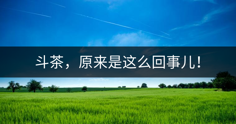 斗茶，原來是這么回事兒！