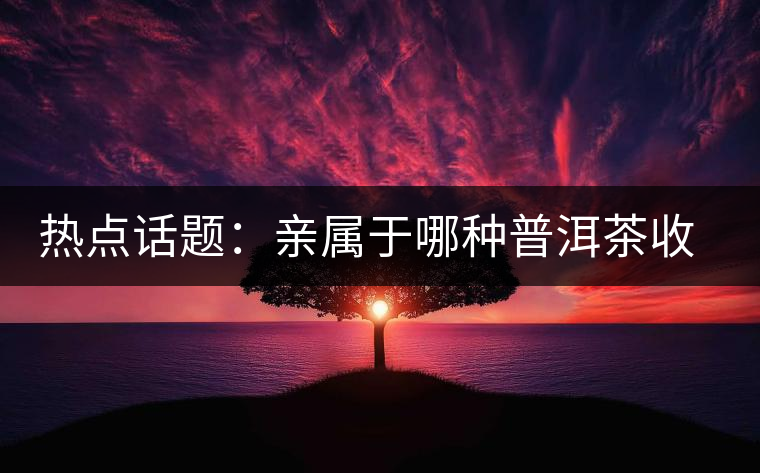 熱點(diǎn)話題：親屬于哪種普洱茶收藏者？