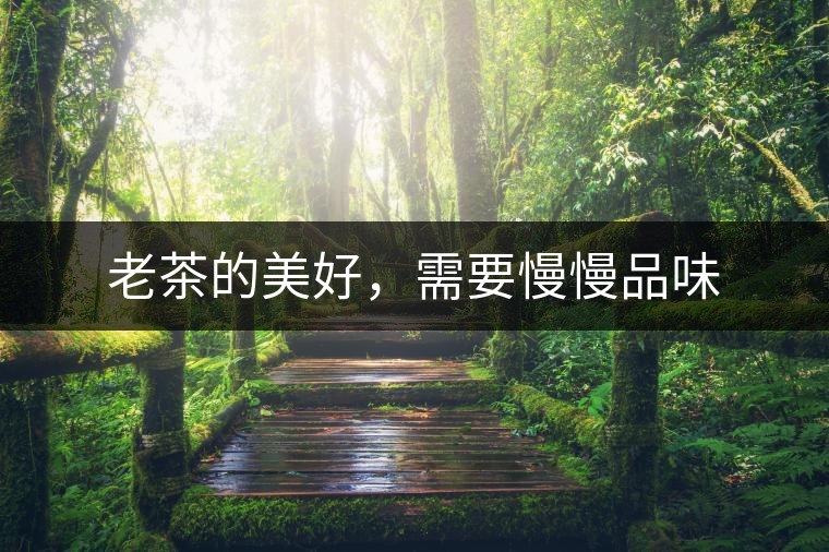 老茶的美好，需要慢慢品味