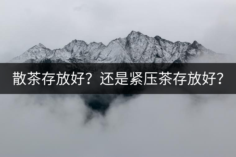 散茶存放好？還是緊壓茶存放好？